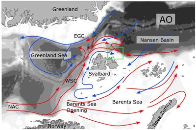 Advection of Mesozooplankton Into the Northern Svalbard Shelf Region